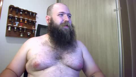 Bear online show from January 14, 2025, 1:36 am