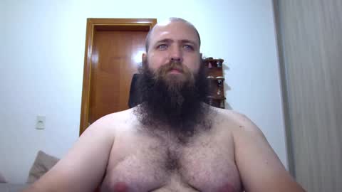Bear online show from January 29, 2025, 4:15 am