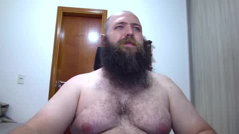 Bear online show from February 3, 2025, 3:09 am