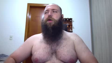 Bear online show from February 4, 2025, 2:17 am