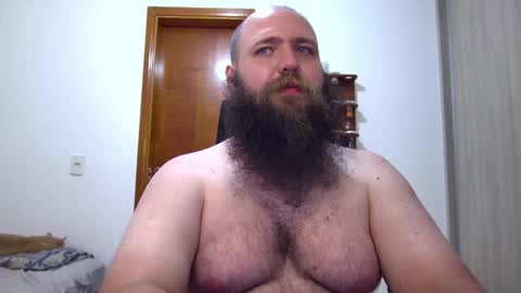 Bear online show from February 7, 2025, 6:24 am