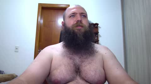 Bear online show from February 8, 2025, 2:15 am