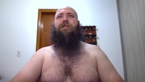 Bear online show from February 9, 2025, 3:22 am