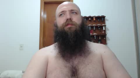 Bear online show from February 19, 2025, 2:33 am