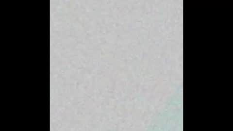 Snapshot of pollardj906 chatting on October 8, 2025, 9:51 am pollardj906 online show from October 8, 2025, 9:51 am