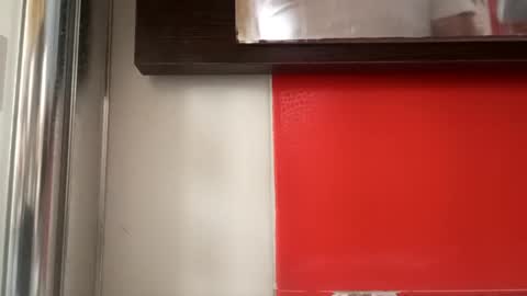 Snapshot of pollonmix chatting on September 11, 2025, 10:59 am pollonmix online show from September 11, 2025, 10:59 am