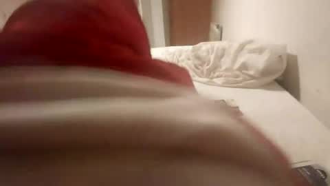 Pollonreus online show from June 28, 2026, 4:40 am