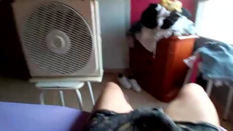 Snapshot of pollonyhuevosgordos chatting on July 17, 2026, 5:14 am pollonyhuevosgordos online show from July 17, 2026, 5:14 am