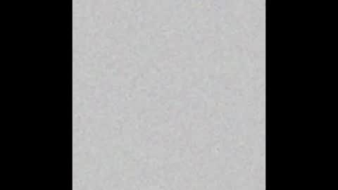 Polly online show from February 25, 2026, 8:35 am