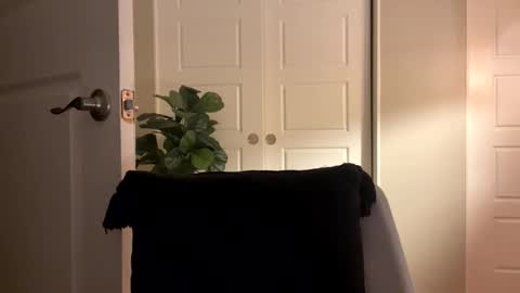 Snapshot of pondererwander chatting on February 3, 2025, 3:31 am pondererwander online show from February 3, 2025, 3:31 am