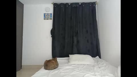 porcelainlux online show from March 16, 2026, 1:22 am