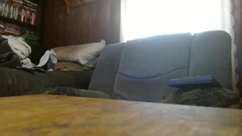 porkingit400 online show from March 3, 2026, 1:17 pm