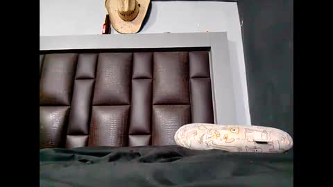 Snapshot of porky699 chatting on October 5, 2025, 9:13 pm porky699 online show from October 5, 2025, 9:13 pm