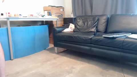 porncock79 online show from July 26, 2026, 10:44 am