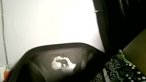 luna online show from April 2, 2026, 3:48 am