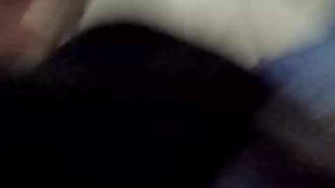 Snapshot of poundgame0710 chatting on April 8, 2026, 4:34 am PipeLayerPlayer007 online show from April 8, 2026, 4:34 am