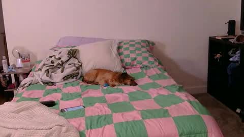 Snapshot of pppawg chatting on October 19, 2025, 6:03 am PAWG Pale Princess online show from October 19, 2025, 6:03 am