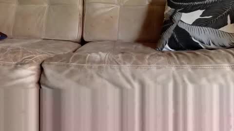 Snapshot of ppsmall_17 chatting on February 8, 2026, 6:33 pm ppsmall_17 online show from February 8, 2026, 6:33 pm