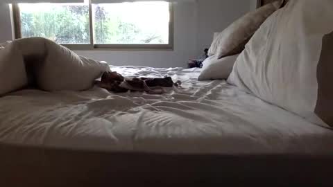 Snapshot of ppsmall_17 chatting on March 27, 2026, 11:10 am ppsmall_17 online show from March 27, 2026, 11:10 am