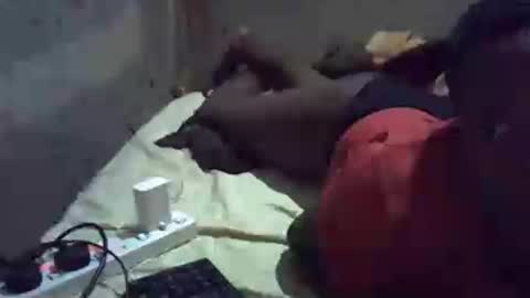 precious_nesh online show from June 21, 2026, 5:37 pm