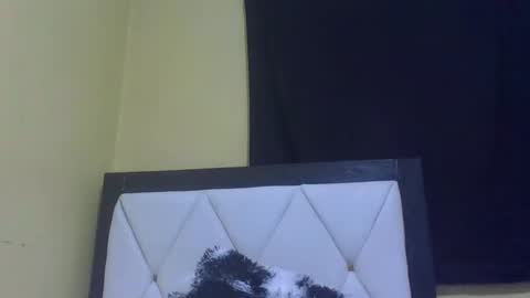 Snapshot of prekky chatting on February 27, 2026, 7:14 pm lynn online show from February 27, 2026, 7:14 pm