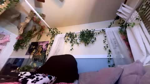 prettyblackgal online show from November 27, 2025, 7:43 am