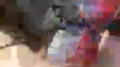 prettycock1981 online show from July 5, 2026, 9:49 am
