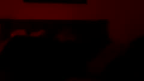 prettyfacefemale online show from October 16, 2025, 12:28 pm