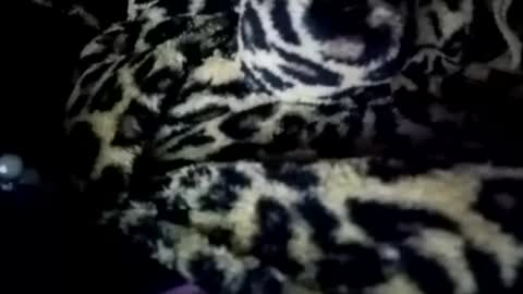 prettyma online show from January 21, 2025, 8:19 am