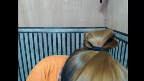 Kate online show from November 7, 2025, 6:08 pm