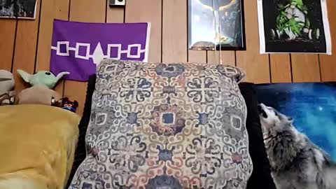 Snapshot of prettysolidd7 chatting on January 28, 2025, 8:57 am prettysolidd7 online show from January 28, 2025, 8:57 am