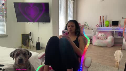Snapshot of princess_cece chatting on January 12, 2025, 8:47 pm Cece  NEXT LIVESTREAM -- DEC. 4th  7 PM CST online show from January 12, 2025, 8:47 pm