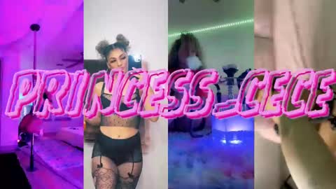 Snapshot of princess_cece chatting on February 12, 2025, 12:58 am Cece  NEXT LIVESTREAM -- DEC. 4th  7 PM CST online show from February 12, 2025, 12:58 am