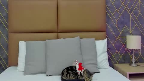 Snapshot of princess_deimos__ chatting on January 6, 2026, 8:12 pm Princess Deimos online show from January 6, 2026, 8:12 pm