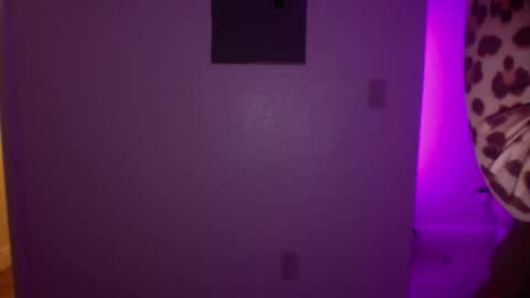 Snapshot of princesstwerkk chatting on April 6, 2026, 4:57 am Princess Twerkk online show from April 6, 2026, 4:57 am
