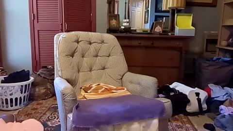 Snapshot of professorspanky chatting on January 27, 2025, 5:04 pm professorspanky online show from January 27, 2025, 5:04 pm
