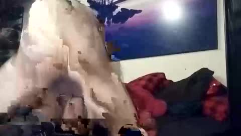 properttw online show from October 13, 2025, 4:29 pm