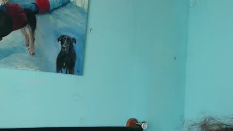 prxscillia_tx online show from November 6, 2025, 1:45 pm