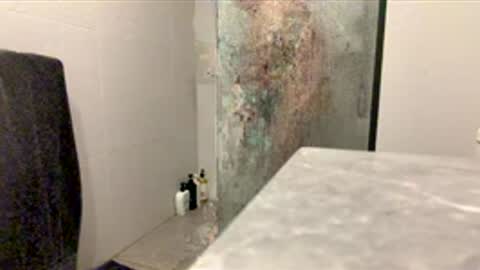 Snapshot of puffiest chatting on February 5, 2026, 8:08 am puffiest online show from February 5, 2026, 8:08 am