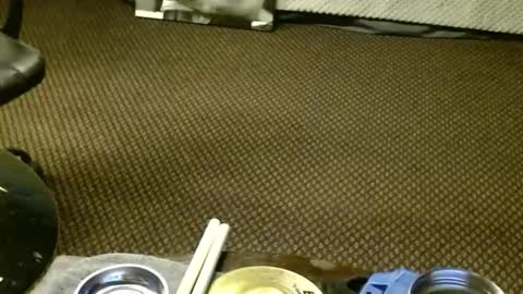 Jojo online show from November 23, 2025, 6:46 am