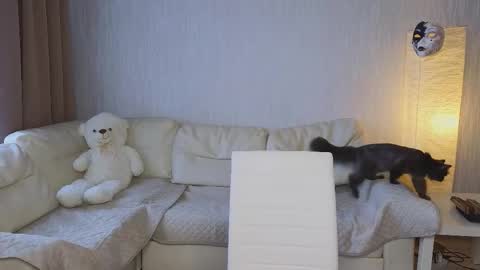 Jesse online show from October 23, 2025, 5:40 am