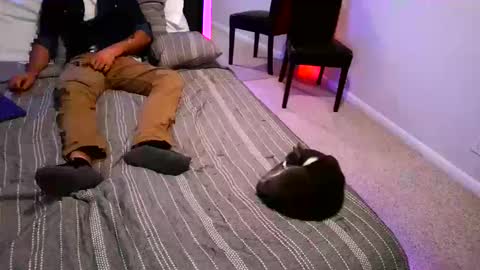 puptroy online show from October 11, 2025, 9:41 am