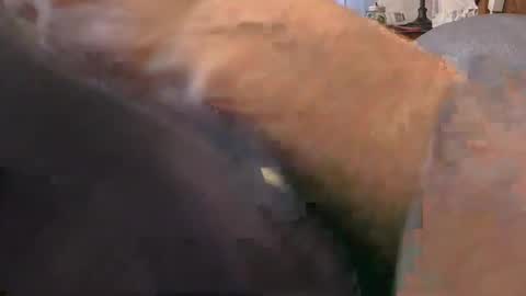 purdyguy7777 online show from February 24, 2026, 2:15 pm