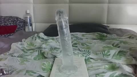 purplelotusgirl online show from November 7, 2025, 8:25 am