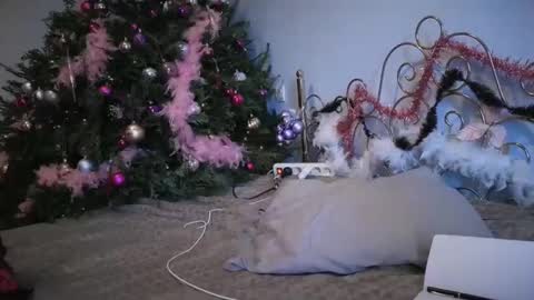 PurpleRainn69  Dina online show from December 15, 2024, 2:37 pm