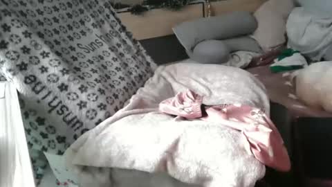 Snapshot of pussy_for_u chatting on December 9, 2024, 11:04 am Lara online show from December 9, 2024, 11:04 am