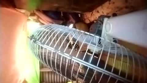 pussywetfantasy69xxx online show from April 23, 2026, 12:56 am