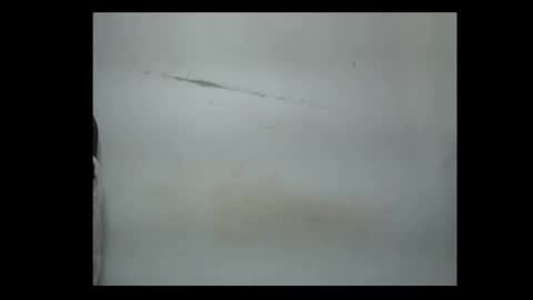 pussyxwetx online show from February 4, 2026, 8:14 pm