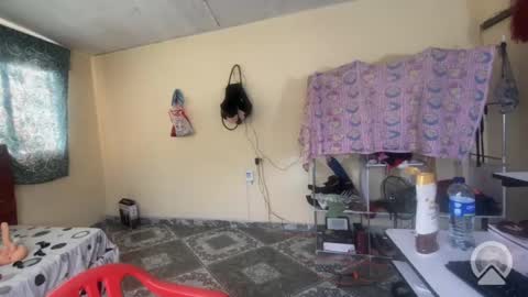 putinaicolls online show from May 9, 2026, 9:31 pm