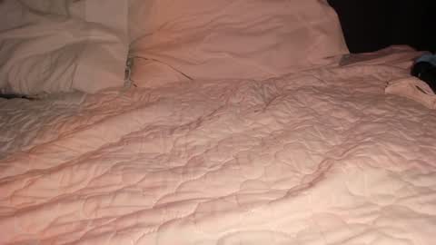 Sophy online show from January 26, 2025, 4:41 am